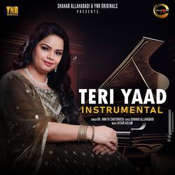 Teri Yaad - Instrumental-JAQBeC55X2A