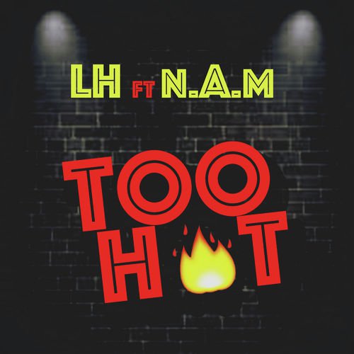 Too Hot_poster_image