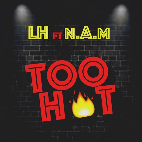 Too Hot (feat. NewAgeMuzik)_poster_image