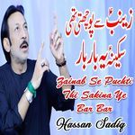 Zainab Se Puchti Thi Sakina Ye Bar Bar