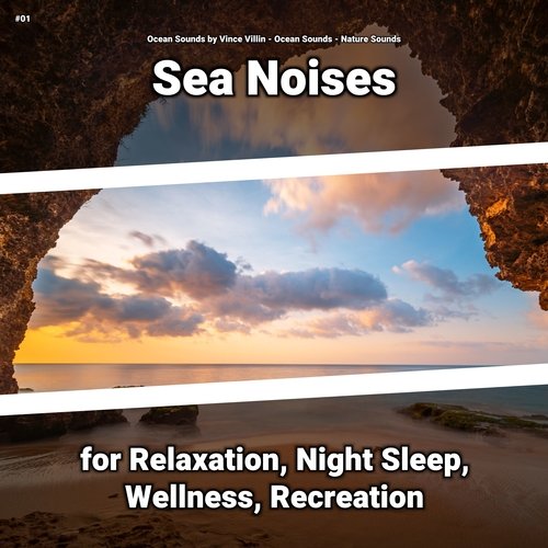 Relaxing Noises cover art