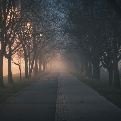 25 Ultimate Relaxation Collection