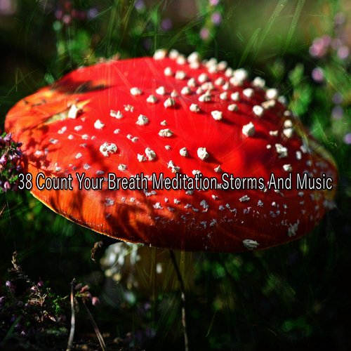 38 Count Your Breath Meditation Storms And Music