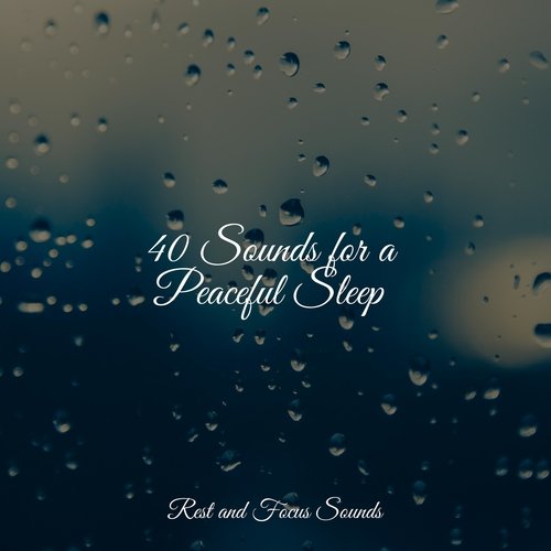 40 Sounds for a Peaceful Sleep_poster_image