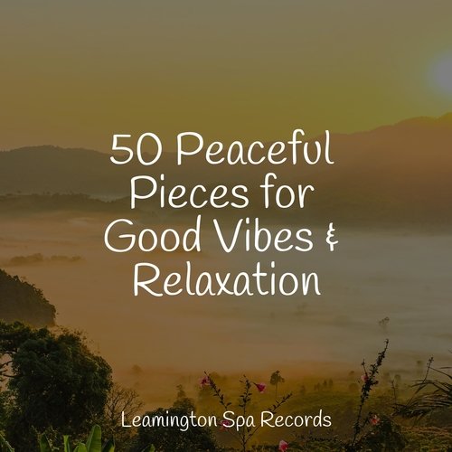 Massage Spa cover art