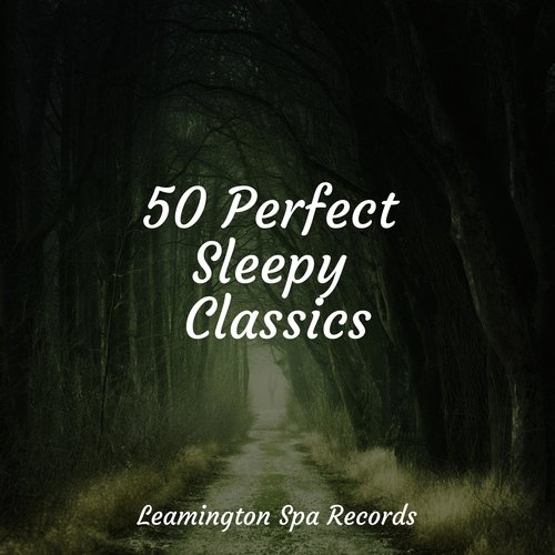 50 Perfect Sleepy Classics