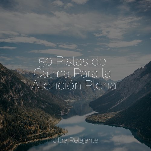 50 Pistas de Calma Para la Atención Plena_poster_image