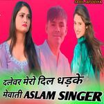 दलेवर मेरो दिल धड़के मेवाती ASLAM SINGER