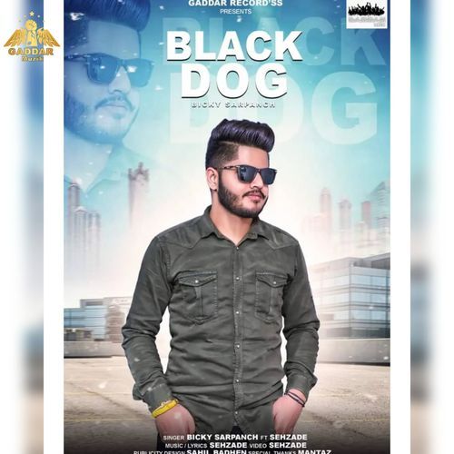 Blackdog