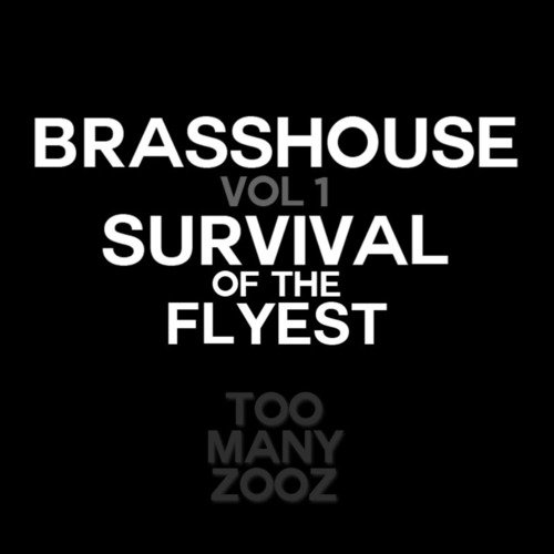 Brasshouse, Vol. 1: Survival of the Flyest_poster_image