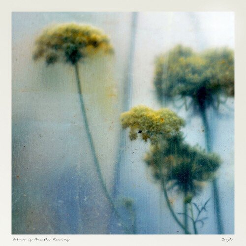 For You (Devonwho Remix) cover art