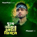 DUKKHU AMAR AKTA JIBONE