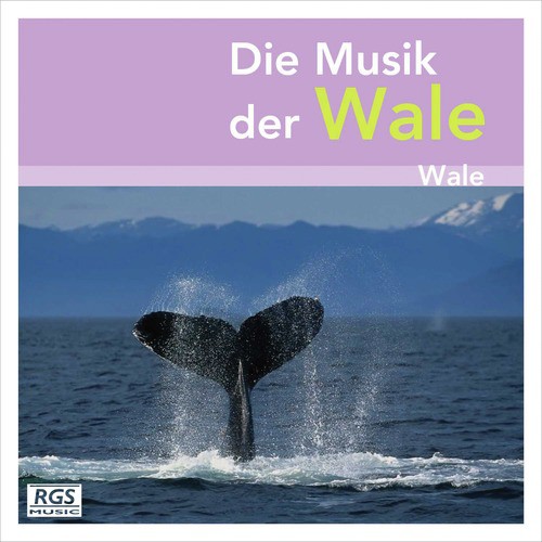 Die Musik Der Wale