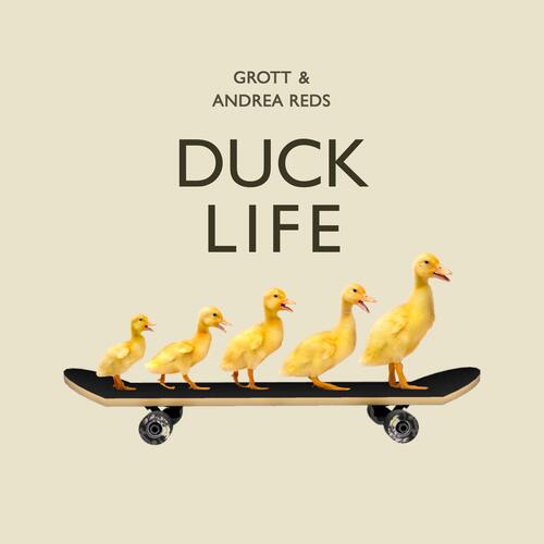 Duck Life