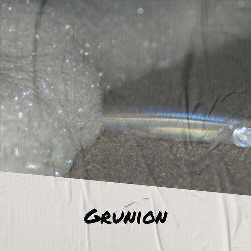 Gats cover art