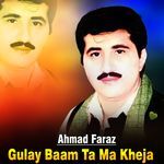 Gulay Baam Ta Ma Kheja
