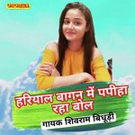 02 Hariyal bagan me papiha rahyo bol