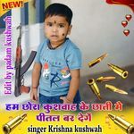 Hum Chhora Kushwah Ke Chhati Me Pital Bar Denge