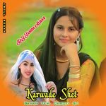 Karwade Shet Bahan Teri Chhoti Su