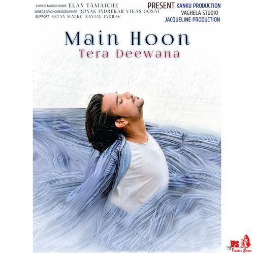 Main Hoon Tera Deewana