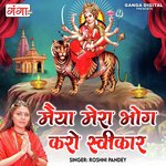 Maiya Mera Bhog Karo Swikar