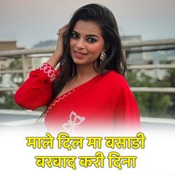Male Dil Ma Basadi Barbad Kari Dina