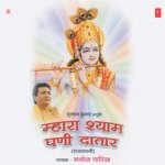 Aavo Khatu Wale Shyam