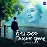 Priya Tame Kete Dure