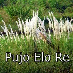 Pujo Elo Re-KlwecBFfAwQ