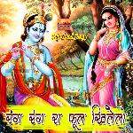 Manva Binaj Karo Laabh Savaya