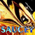 SAUCEY artwork