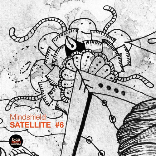 Satellite #6