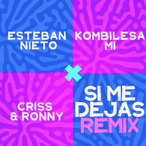 Si Me Dejas (Remix)