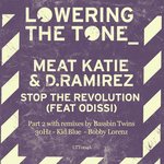Stop The Revolution (Bassbin Twins Remix)