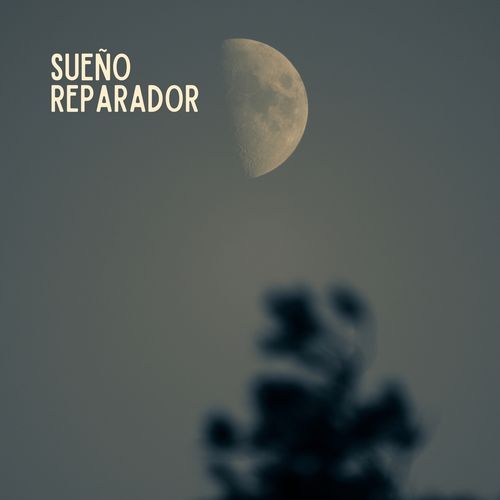 Nube cover art