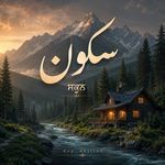 Sukoon dop_dhillon (ਸਕੂਨ) artwork