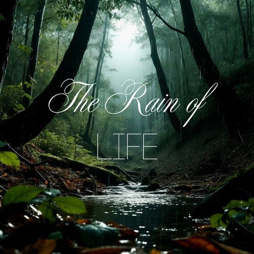 The Rain Of Life