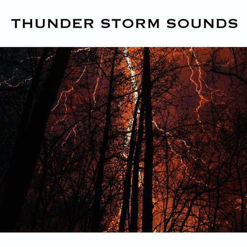 Thunder Storm Sounds_poster_image