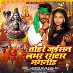 Tohare Jaisan Lover Rangdar Manganiha(bolbam Song 2025)