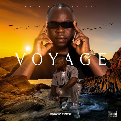 Voyage_poster_image