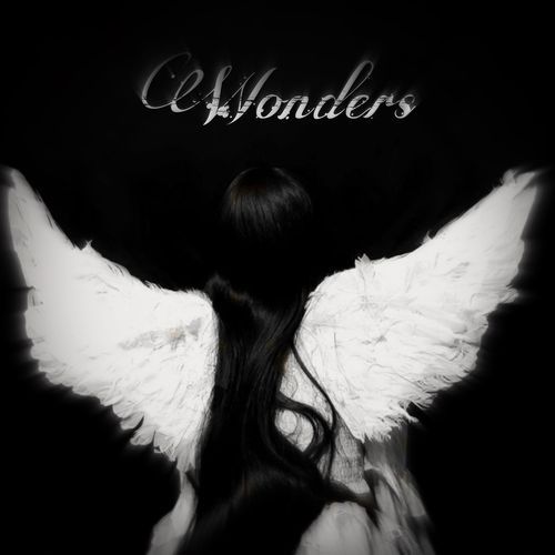 Wonders (Slowed) cover art