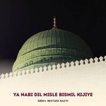 Ya Nabi Dil Misle Bismil Kijiye