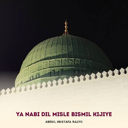 Ya Nabi Dil Misle Bismil Kijiye