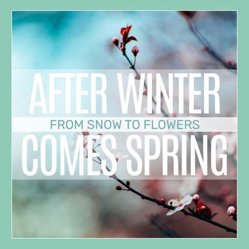 Morning Garden cover art