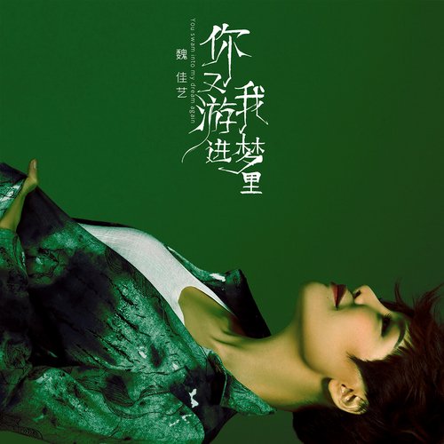 你又游进我梦里_poster_image