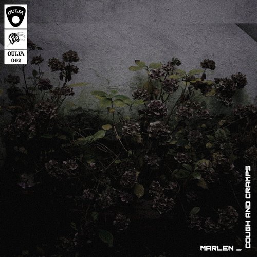 Coughs and Cramps (14anger Remix) cover art