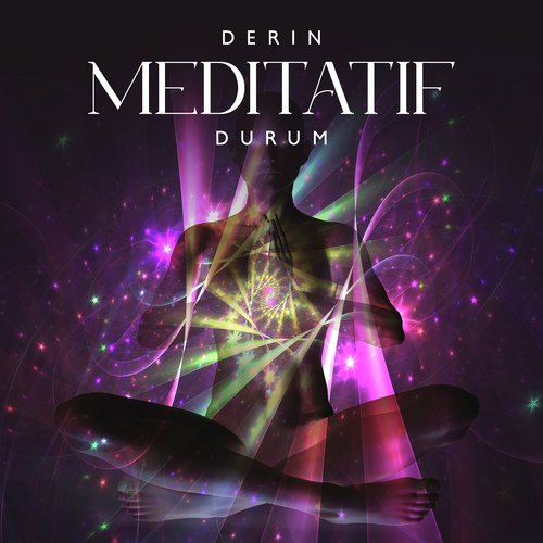 Dikkatli Tepkiler cover art
