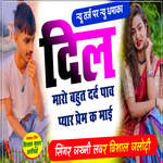 Dil Maro Bahut Dard Paw Pyar Prem K Maai