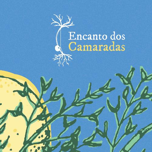 Encanto Dos Camaradas_poster_image