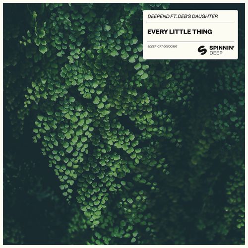 Every Little Thing (feat. Deb's Daughter) (Extended Mix)